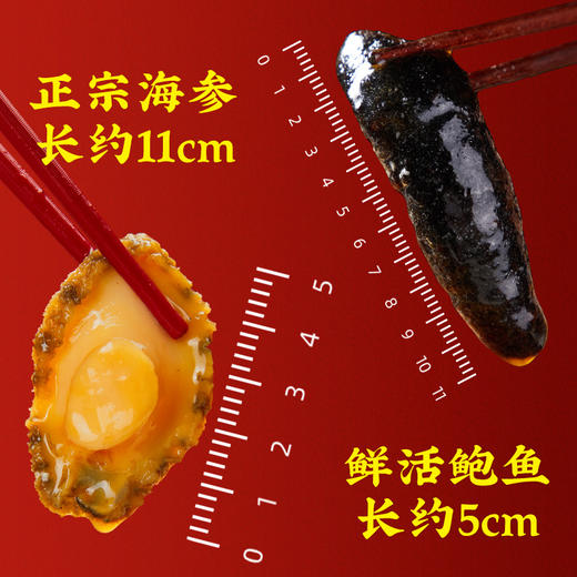 言禧经典款·12鲍12参3斤装（固形物≥40%）#24年货节 商品图2