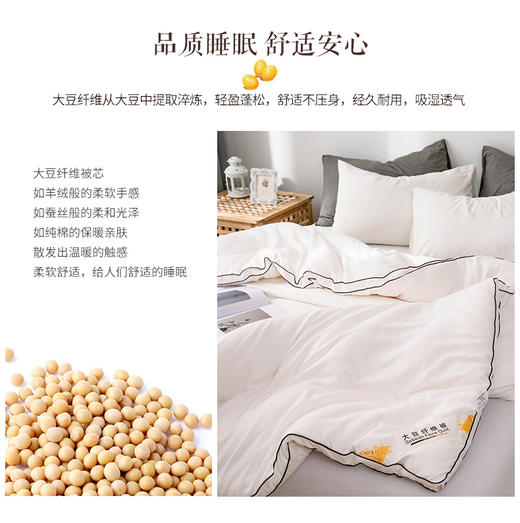 恒源祥大豆被大豆蛋白纤维被1DBYP3016-1 商品图1