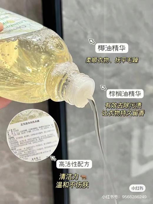 正品泰国芝芙莲，500ml内衣内裤婴幼儿成人贴身衣裤洗衣液 商品图7