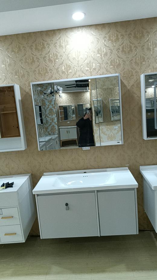 浴室柜 666-100 三包装  配50陶瓷盆 商品图0