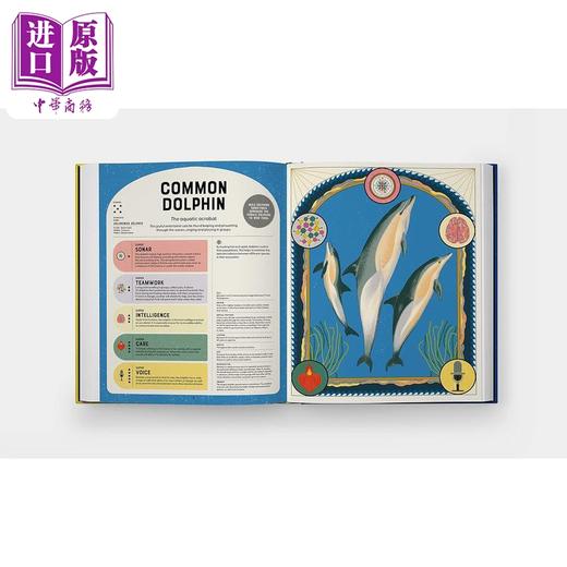 【中商原版】超级动物大发现Superpowered Animals 英文原版 儿童科普绘本 动物知识百科图书 精装精品绘本 进口儿童科学读物 商品图4