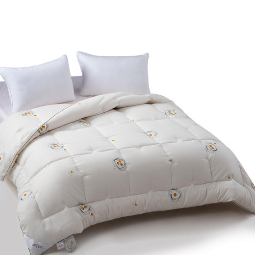 DH云端舒享大豆被 商品图1