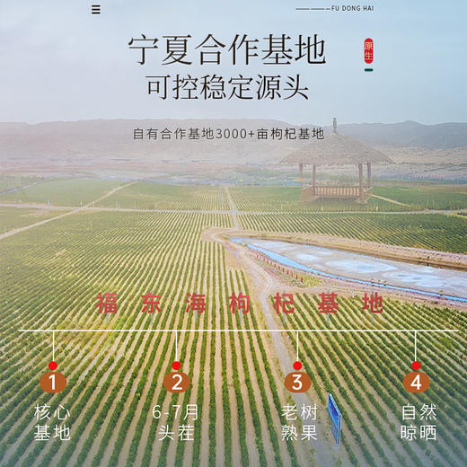 福东海 红枸杞礼盒150克  10g*15罐 苟杞中宁免洗红枸杞子 宁夏头茬果 年货节好礼企业团购 商品图5