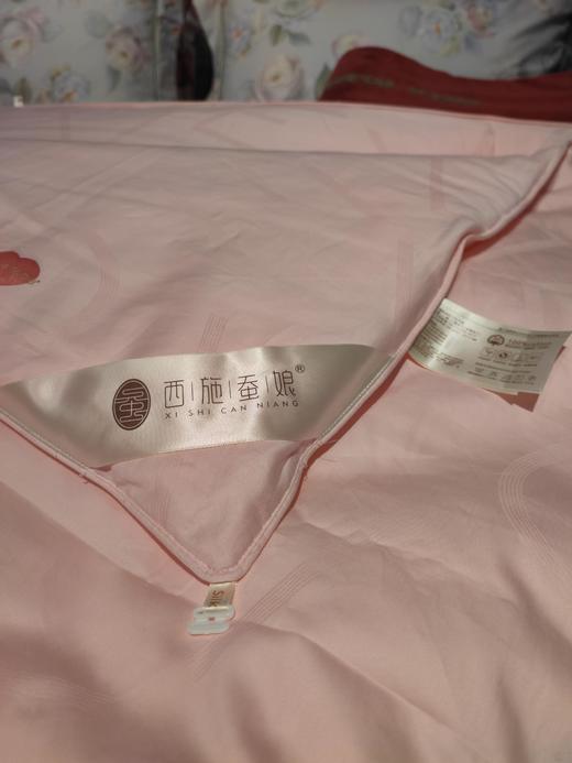 西施蚕娘手工定制蚕丝夏被蚕丝被 商品图3
