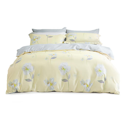 全涤磨毛抗菌四件套1.5m床 DH奶fufu的花-S04(抗菌) 商品图1