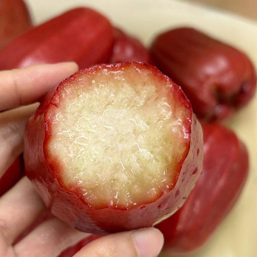 【鲜脆多汁】越南黑金刚莲雾 商品图1