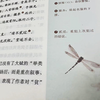 《中国符号》传统文化系列丛书 | 建筑、民俗、绘画...读上3分钟，就能让你眼界大开 商品缩略图3