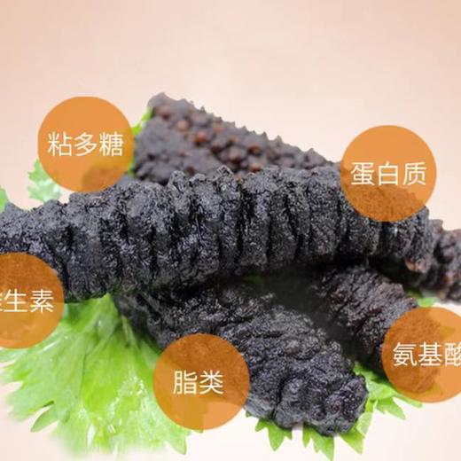 即食海参 | 土耳其爱琴海自然散养8-12头米刺参制作 5年上参龄 粗壮饱满 刺刺分明 肉筋完整 颜色黑褐 营养丰富低温熟化技术制作 开袋即食 吃法多样 商品图6