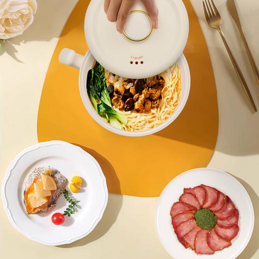 艾美特AIRMATE多功能迷你电饭煲CF1205 商品图0