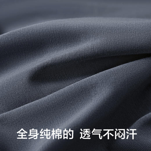 有棵树50支纯棉男士内裤3条装-585B 商品图4