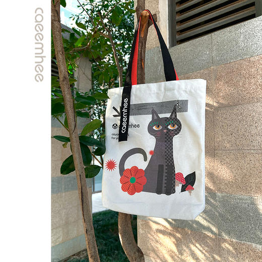 卡益帆布包背袋KF3902 商品图4