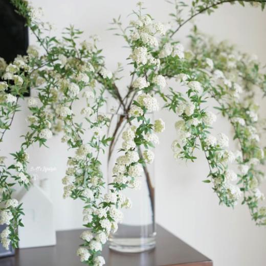 白色丨小手球花丨4-6支｜超多花苞【运输易掉嫩芽介意勿拍超长花材单独发货】 商品图3