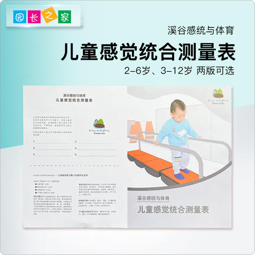 溪谷感统与体育儿童感觉统合测量表测评表 商品图0