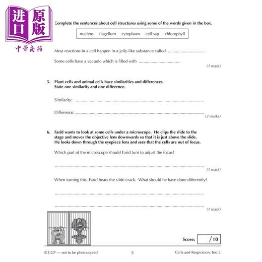 【中商原版】英国原版CGP教辅 新的 KS3 生物学 10 分钟测试（附答案）New KS3 Biology 10-Minute Tests (with answers) 商品图4
