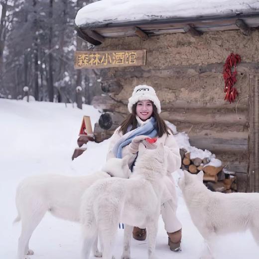 美宿 | 觅雪长白6天5晚/5天4晚 商品图2