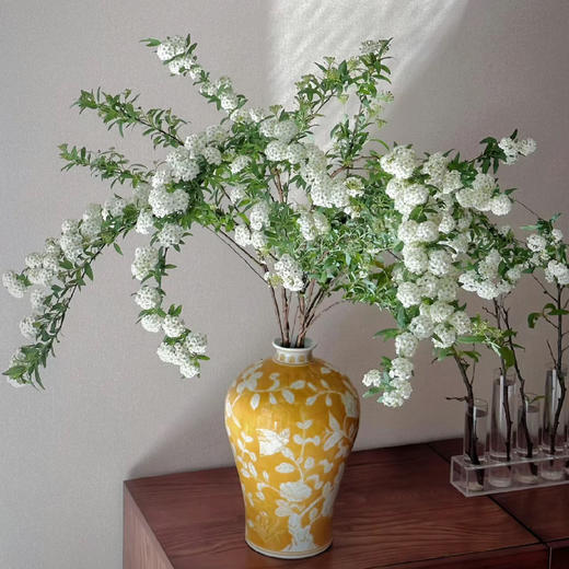 白色丨小手球花丨4-6支｜超多花苞【运输易掉嫩芽介意勿拍超长花材单独发货】 商品图1