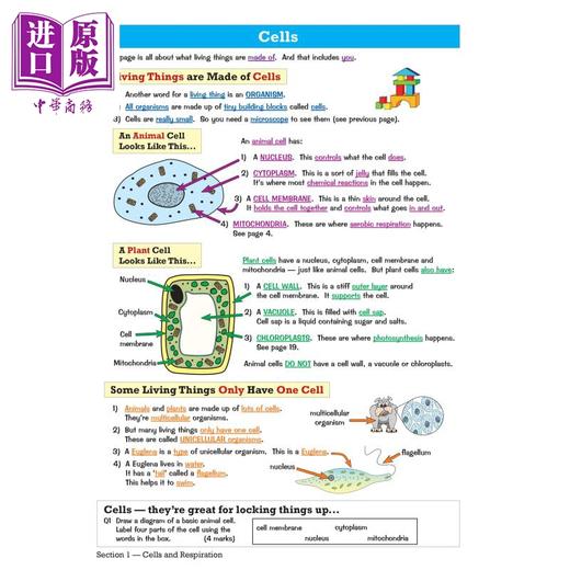 预售 【中商原版】英国原版CGP教辅 KS3科学学习指南-基础KS3 Science Study Guide - Foundation 中学教辅 英文 学习参考书 商品图4