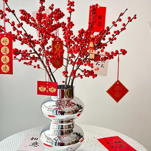 年宵花--瓶插花 商品图0