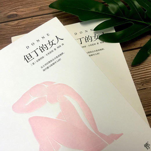 但丁的女人（意）安德烈亚·卡米雷利 著 商品图4