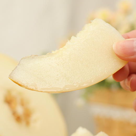 【海南好物】冰糖牛奶蜜瓜  3.5斤/4.5斤 商品图1