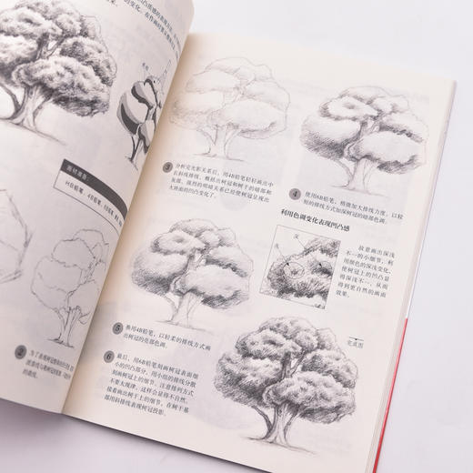 素描入门教程 质感塑造 商品图1