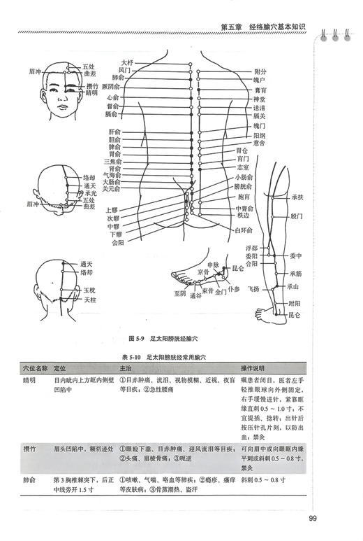 中医护理学概要 第2版 李卫红 李明今 十四五普通高能教育本科规划教材 供本科护理学类专业用 北京大学医学出版社9787565929281 商品图3