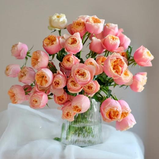 多头玫瑰 粉蝴蝶  10支/扎  粉色玫瑰 云南基地发货 （价格已包含包装费用） 运费以实际为准，多退少补。 商品图0