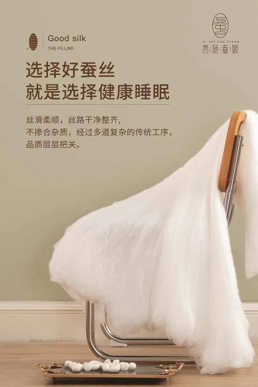 西施蚕娘双宫茧蚕丝长丝3A/5A/8A级纯蚕丝不含被壳 商品图1