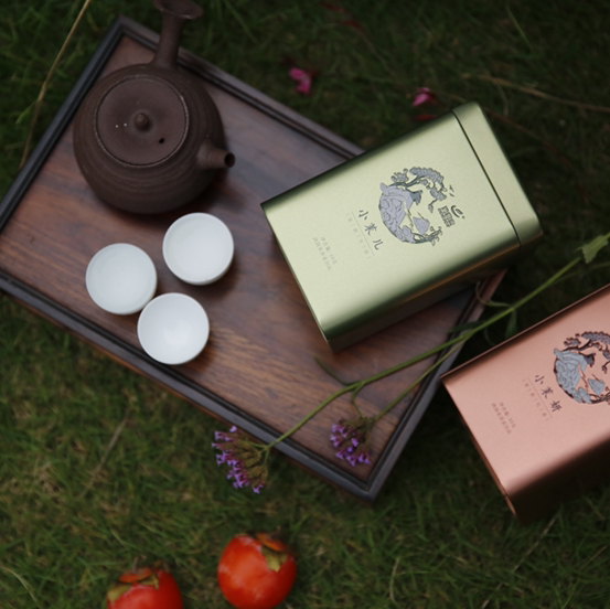 【小茉儿】茉莉生普/华南农业大学茶学系陈文品教授作品/香气清雅/滋味甘润/60g/罐