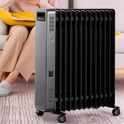 先锋电热油汀DYT-Z9Pro 商品图1