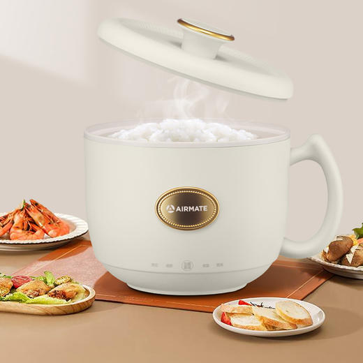 艾美特AIRMATE多功能迷你电饭煲CF1205 商品图4