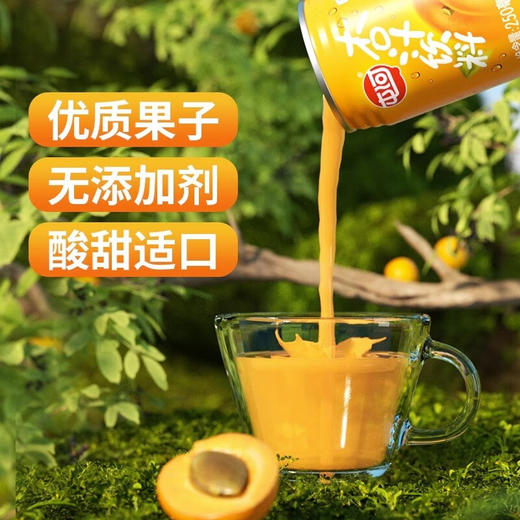 中粮杏汁礼盒250ml*10（新老包装随机发货哦~） 商品图6