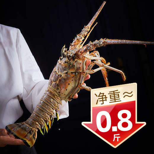 言禧青龙鲍参盆菜1.6kg龙年限量款（固形物≥45%） 商品图2