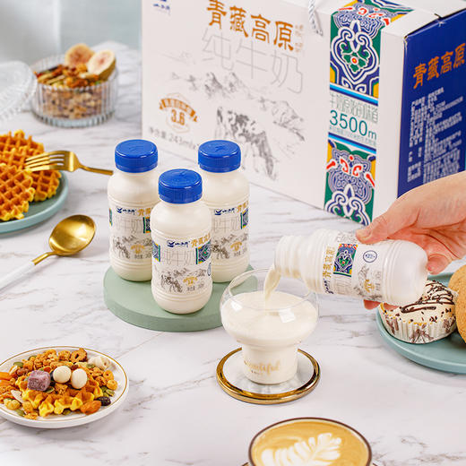 【光明&小西牛】青藏高原纯牛奶3.6g蛋白营养早餐奶 243ml*12瓶 商品图3
