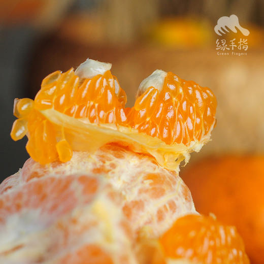 生态永春芦柑 | 合作生产*Eco-Citrus | Coproduction 商品图5