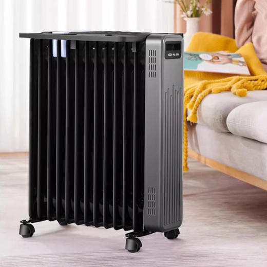 先锋电热油汀DYT-Z9Pro 商品图0