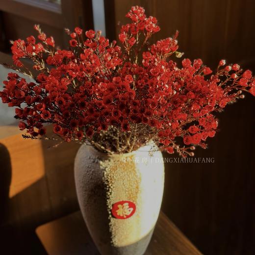 【红色腊梅+白色小花瓶】1扎约3-4支/份 （约200-250g）长约50-55cm 商品图0