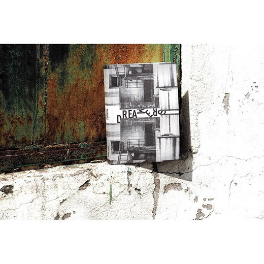 印度青年狂想曲（印度）司妮达·普拉姆 著 商品图6