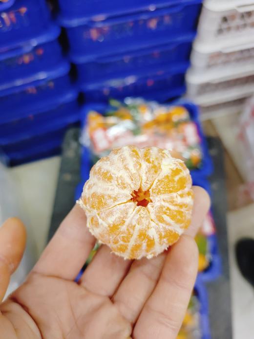 蓝框叶桔一箱 商品图1