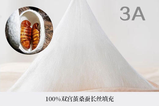 西施蚕娘双宫茧蚕丝长丝3A/5A/8A级纯蚕丝不含被壳 商品图2