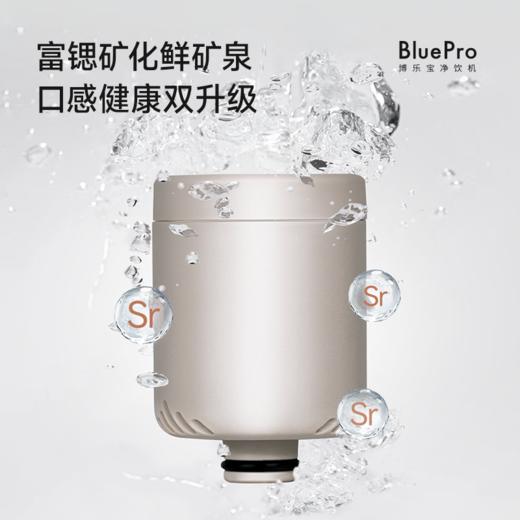 博乐宝BluePro 净饮一体机B66（凉白开）一年内以换代修 商品图3