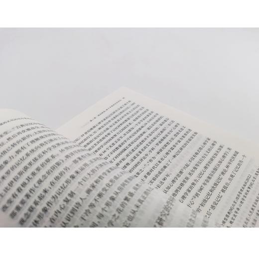 从乡愁到乡建：江南村镇的文化记忆与景观设计 商品图4