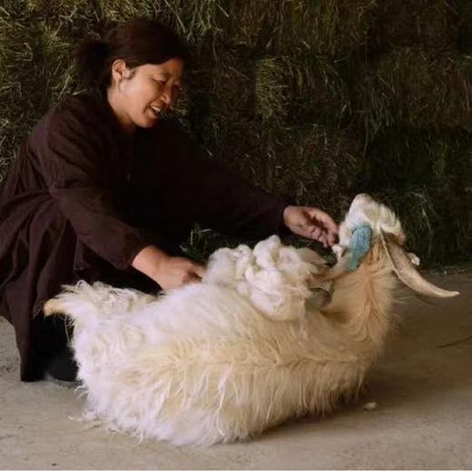 羊绒系列-【女款羊绒保暖裤】100%阿尔巴斯白山羊绒5款颜色可选 常规款和加厚款无缝无痕打底裤 商品图6