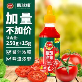 凤球唛番茄沙司250g