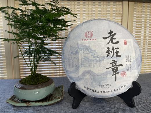 老班章古树生茶357克标准饼加袋子 商品图0