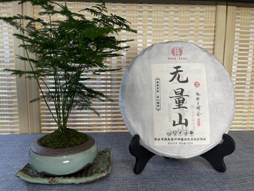 无量山古树生茶357克标准饼加袋子 商品图0
