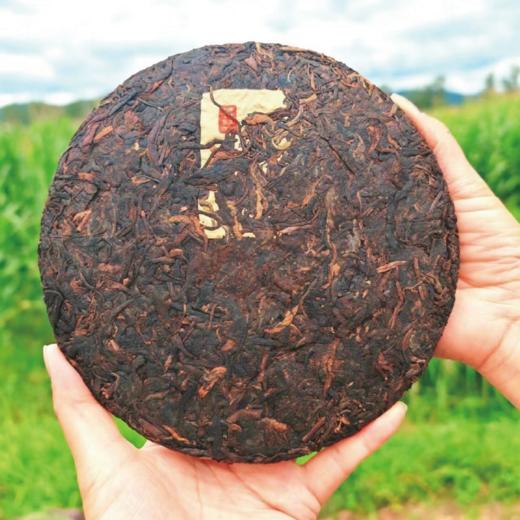 勐海熟茶357克标准饼加袋子 商品图2