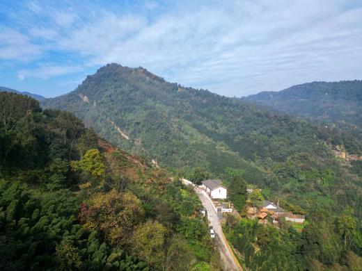 【团建优选-峨眉山391号民宿】15房温泉私汤院子，入住送晚餐、俯瞰山景，团建，家庭聚会，赏雪避暑dybs 商品图2