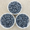 云南澄江 高原花香蓝莓 商品缩略图6