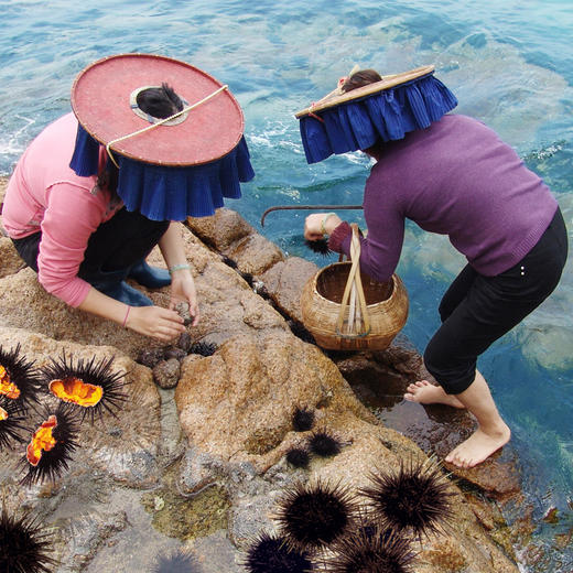【南天阁】海胆流心酥 实用零食小吃 深圳特色食品  礼盒装 400g/盒 深圳手信 送礼推荐 商品图6